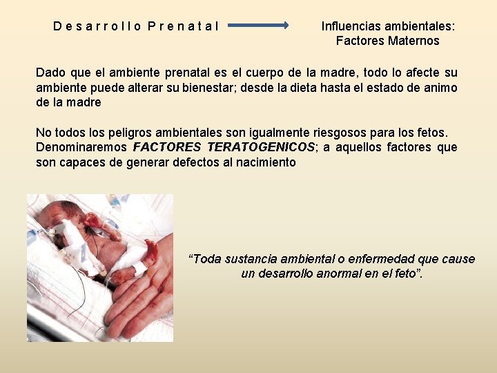 Desarrollo Prenatal Influencias ambientales: Factores Maternos Dado que el ambiente prenatal es el cuerpo Desarrollo Prenatal Influencias ambientales: Factores Maternos Dado que el ambiente prenatal es el cuerpo