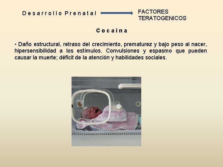 Desarrollo Prenatal FACTORES TERATOGENICOS Cocaina • Daño estructural, retraso del crecimiento, prematurez y bajo Desarrollo Prenatal FACTORES TERATOGENICOS Cocaina • Daño estructural, retraso del crecimiento, prematurez y bajo