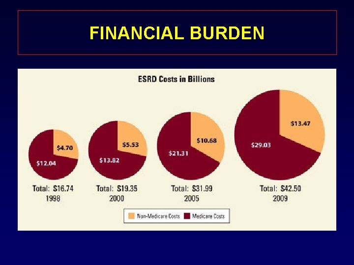 FINANCIAL BURDEN 