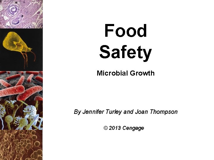 Food Safety Microbial Growth By Jennifer Turley and Joan Thompson © 2013 Cengage 
