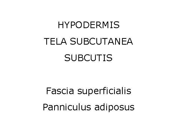 HYPODERMIS TELA SUBCUTANEA SUBCUTIS Fascia superficialis Panniculus adiposus 