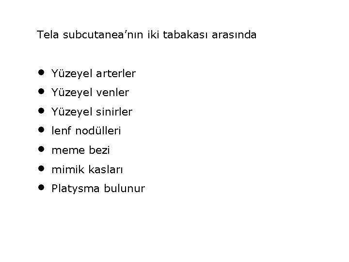 Tela subcutanea’nın iki tabakası arasında • • Yüzeyel arterler Yüzeyel venler Yüzeyel sinirler lenf