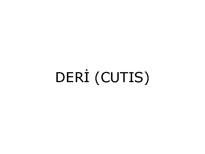 DERİ (CUTIS) 