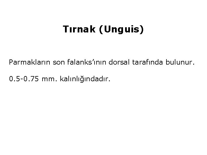 Tırnak (Unguis) Parmakların son falanks’ının dorsal tarafında bulunur. 0. 5 -0. 75 mm. kalınlığındadır.