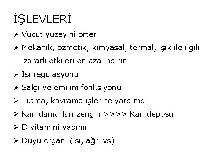 İŞLEVLERİ Ø Vücut yüzeyini örter Ø Mekanik, ozmotik, kimyasal, termal, ışık ile ilgili zararlı