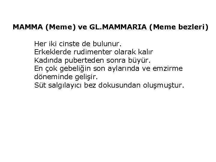 MAMMA (Meme) ve GL. MAMMARIA (Meme bezleri) Her iki cinste de bulunur. Erkeklerde rudimenter
