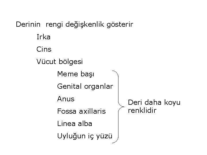 Derinin rengi değişkenlik gösterir Irka Cins Vücut bölgesi Meme başı Genital organlar Anus Fossa