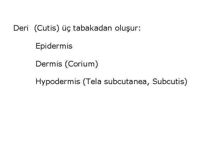 Deri (Cutis) üç tabakadan oluşur: Epidermis Dermis (Corium) Hypodermis (Tela subcutanea, Subcutis) 