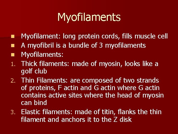 Myofilaments n n n 1. 2. 3. Myofilament: long protein cords, fills muscle cell