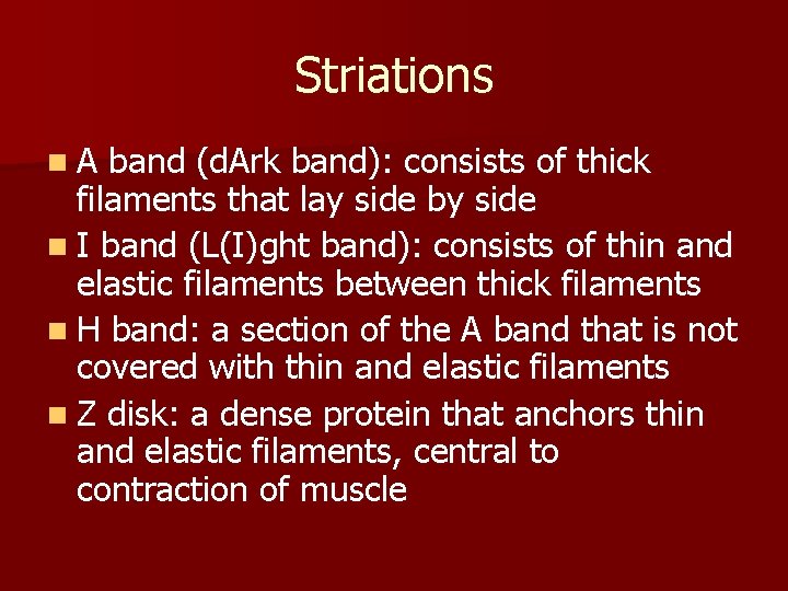Striations n. A band (d. Ark band): consists of thick filaments that lay side