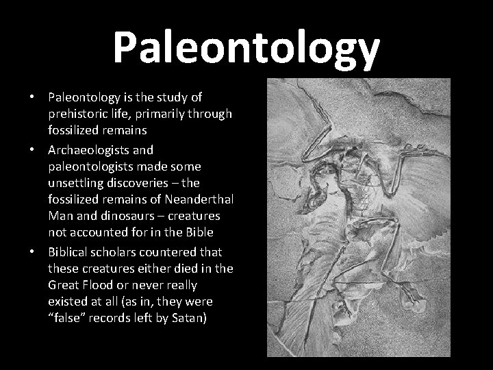 Paleontology • Paleontology is the study of prehistoric life, primarily through fossilized remains •