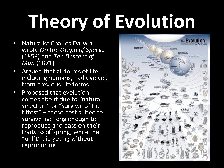 Theory of Evolution • Naturalist Charles Darwin wrote On the Origin of Species (1859)