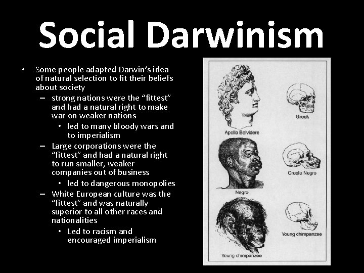 Social Darwinism • Some people adapted Darwin’s idea of natural selection to fit their