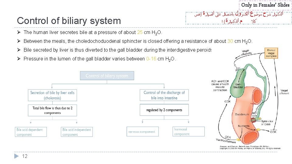 Only in Females’ Slides Control of biliary system ﺍﻟﺪﻛﺘﻮﺭ ﺷﺮﺡ ﻣﻮﺿﻮﻉ ﺍﻟﻜﻨﺘﺮﻭﻝ ﺑﺎﺧﺘﺼﺎﺭ ﻋﻠﻰ