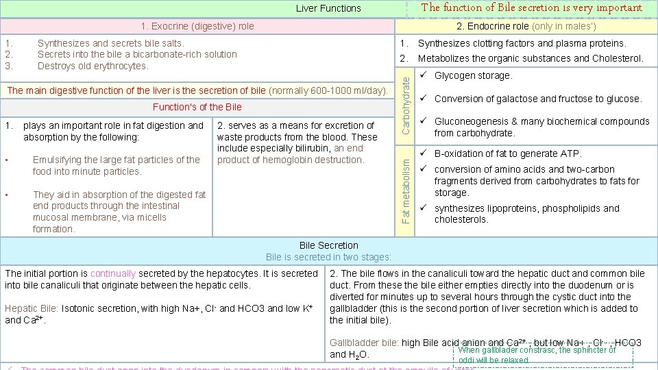 The function of Bile secretion is very important Liver Functions 1. Exocrine (digestive) role