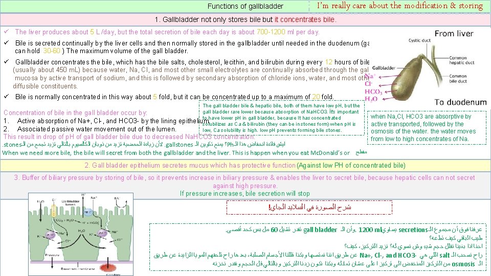 Functions of gallbladder I’m really care about the modification & storing 1. Gallbladder not