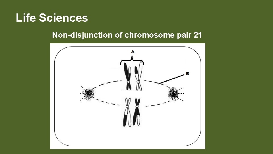 Life Sciences Non-disjunction of chromosome pair 21 