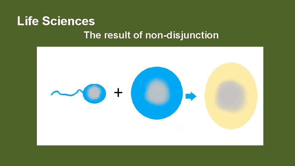 Life Sciences The result of non-disjunction 