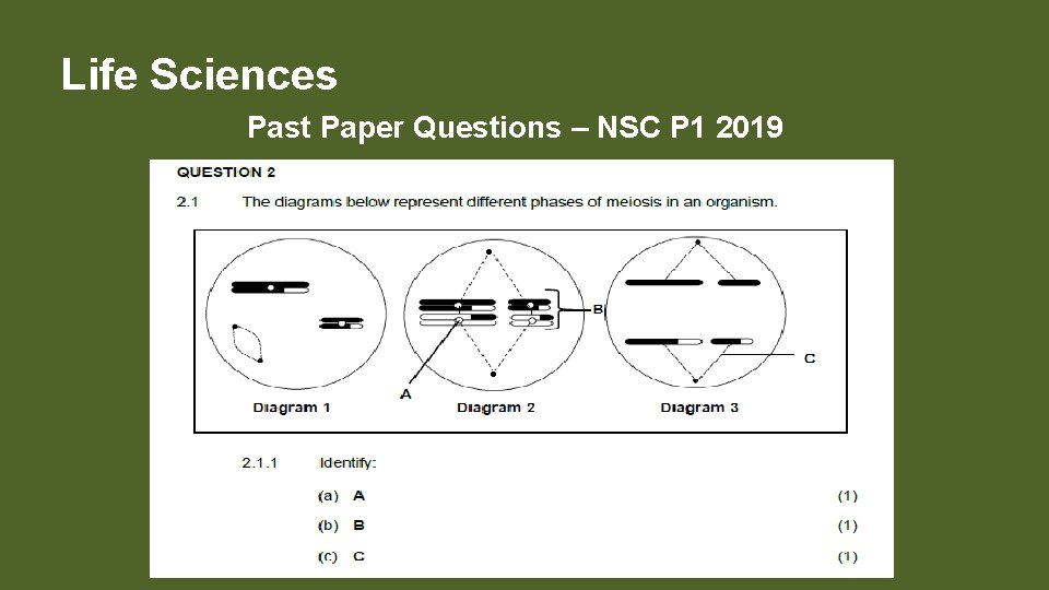 Life Sciences Past Paper Questions – NSC P 1 2019 
