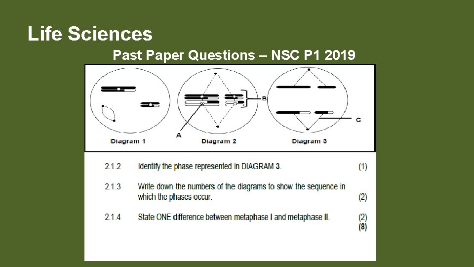 Life Sciences Past Paper Questions – NSC P 1 2019 s 