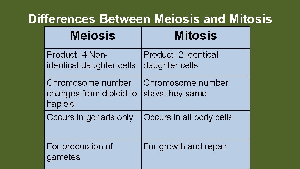 Differences Between Meiosis and Mitosis Meiosis Mitosis Product: 4 Non. Product: 2 Identical identical