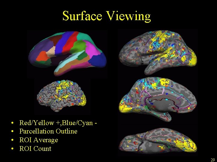 Surface Viewing • • Red/Yellow +, Blue/Cyan Parcellation Outline ROI Average ROI Count 29