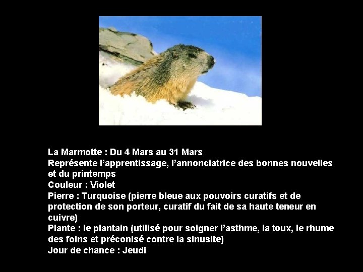 La Marmotte : Du 4 Mars au 31 Mars Représente l’apprentissage, l’annonciatrice des bonnes