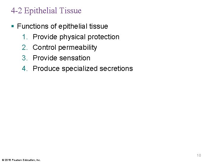 4 -2 Epithelial Tissue § Functions of epithelial tissue 1. Provide physical protection 2.