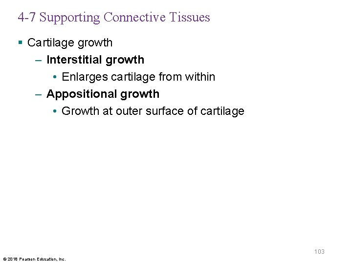 4 -7 Supporting Connective Tissues § Cartilage growth – Interstitial growth • Enlarges cartilage