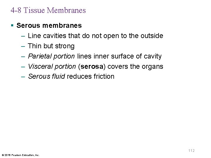 4 -8 Tissue Membranes § Serous membranes – Line cavities that do not open