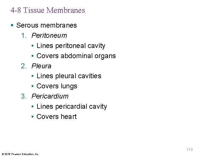 4 -8 Tissue Membranes § Serous membranes 1. Peritoneum • Lines peritoneal cavity •