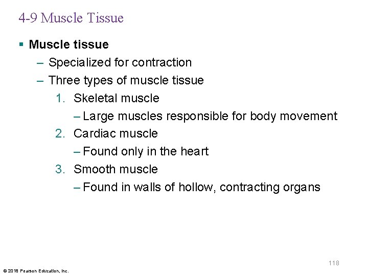 4 -9 Muscle Tissue § Muscle tissue – Specialized for contraction – Three types