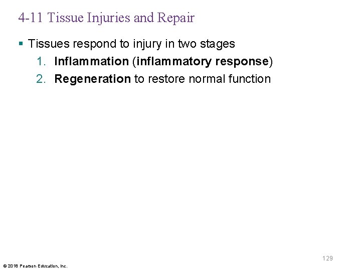 4 -11 Tissue Injuries and Repair § Tissues respond to injury in two stages