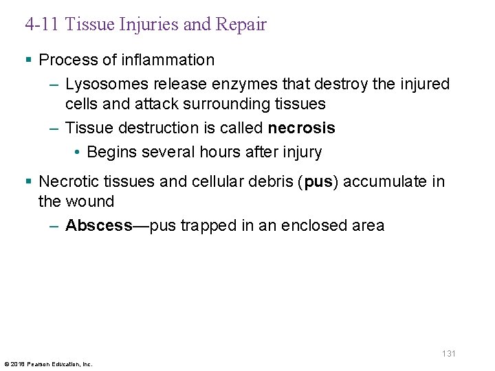 4 -11 Tissue Injuries and Repair § Process of inflammation – Lysosomes release enzymes