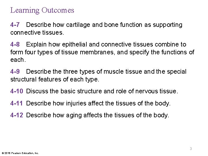 Learning Outcomes 4 -7 Describe how cartilage and bone function as supporting connective tissues.