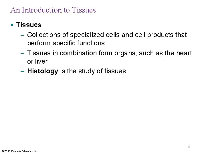 An Introduction to Tissues § Tissues – Collections of specialized cells and cell products