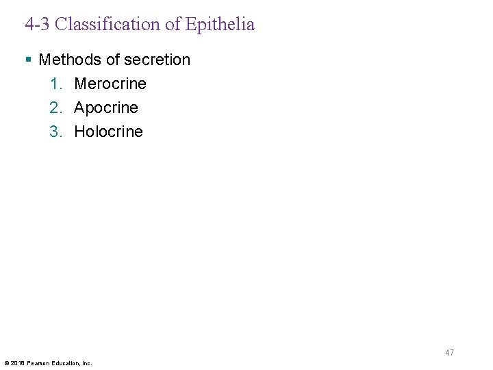 4 -3 Classification of Epithelia § Methods of secretion 1. Merocrine 2. Apocrine 3.