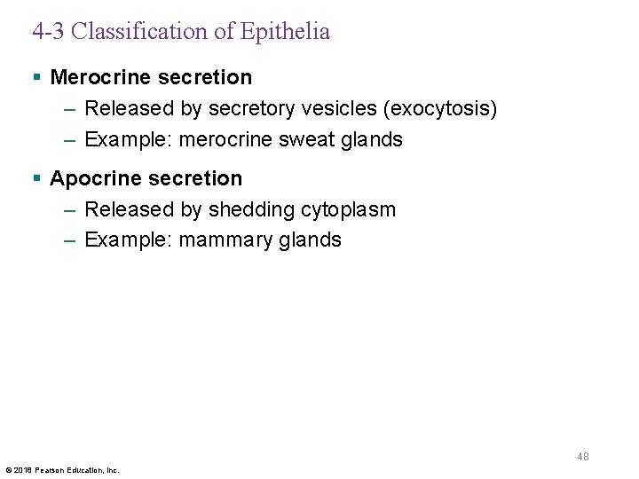 4 -3 Classification of Epithelia § Merocrine secretion – Released by secretory vesicles (exocytosis)