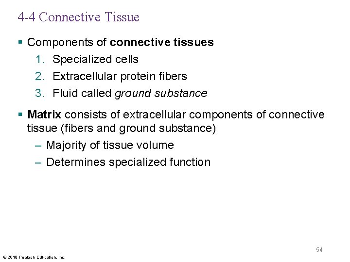 4 -4 Connective Tissue § Components of connective tissues 1. Specialized cells 2. Extracellular