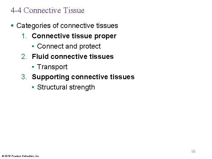 4 -4 Connective Tissue § Categories of connective tissues 1. Connective tissue proper •