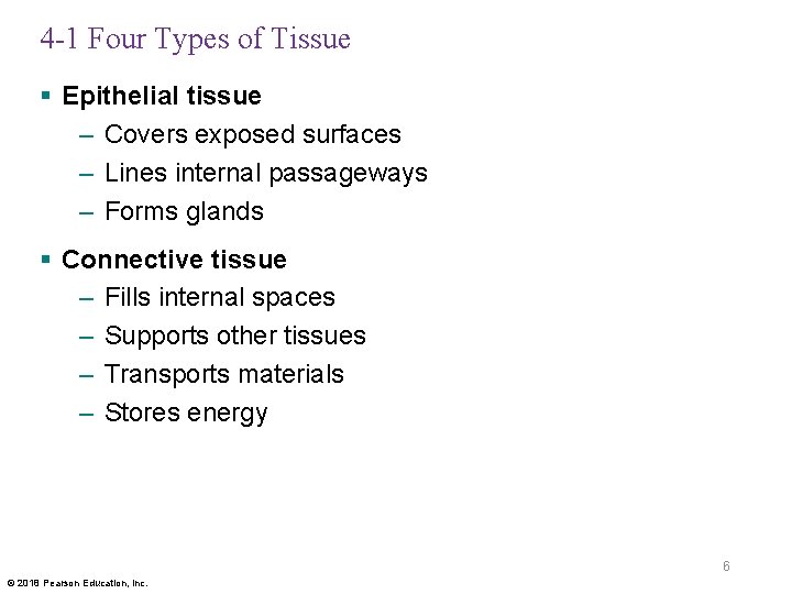 4 -1 Four Types of Tissue § Epithelial tissue – Covers exposed surfaces –