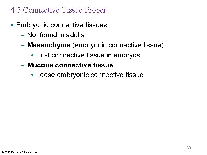 4 -5 Connective Tissue Proper § Embryonic connective tissues – Not found in adults