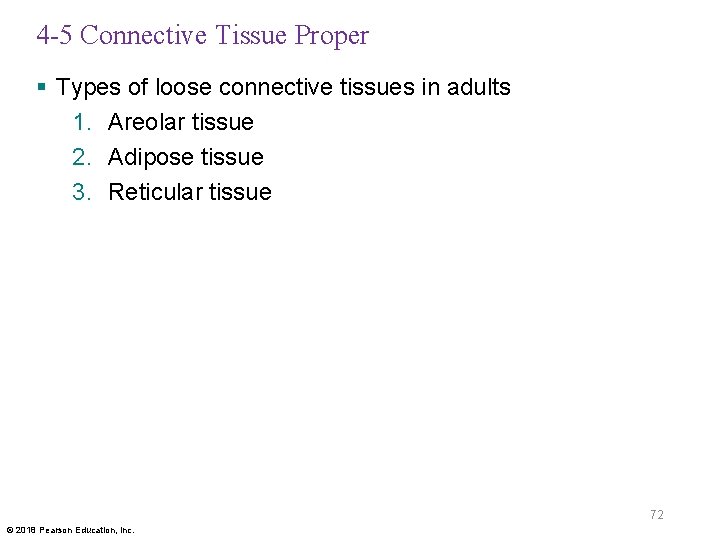 4 -5 Connective Tissue Proper § Types of loose connective tissues in adults 1.