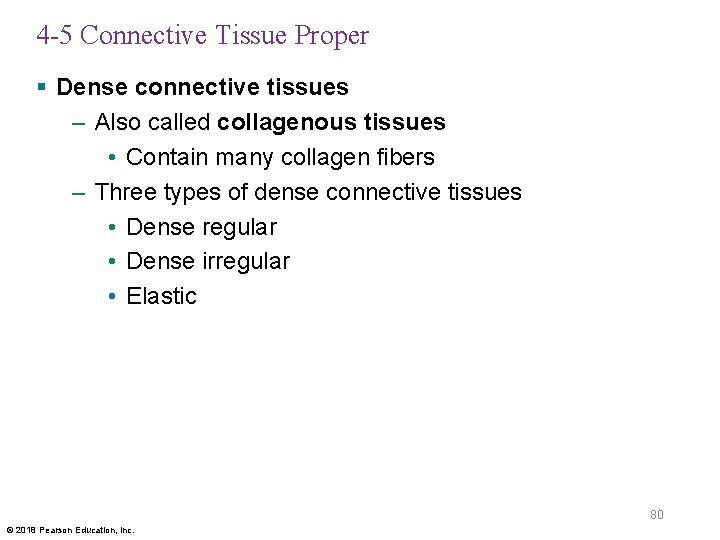 4 -5 Connective Tissue Proper § Dense connective tissues – Also called collagenous tissues