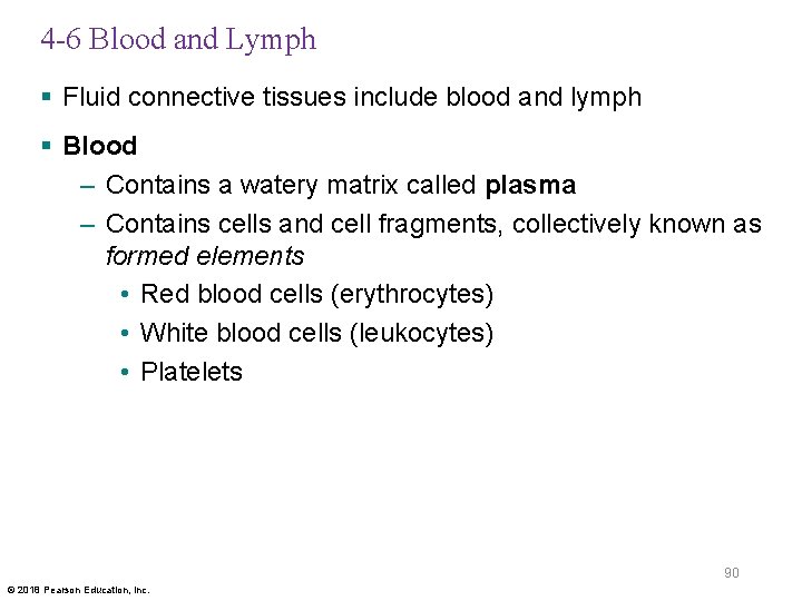 4 -6 Blood and Lymph § Fluid connective tissues include blood and lymph §