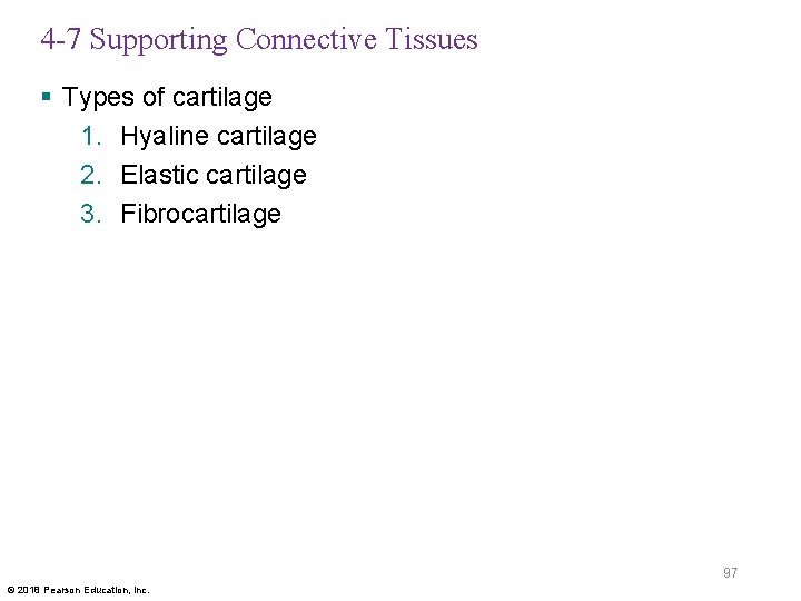 4 -7 Supporting Connective Tissues § Types of cartilage 1. Hyaline cartilage 2. Elastic