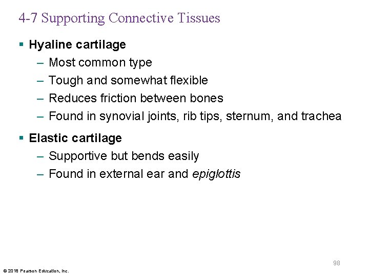4 -7 Supporting Connective Tissues § Hyaline cartilage – Most common type – Tough