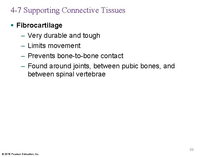4 -7 Supporting Connective Tissues § Fibrocartilage – Very durable and tough – Limits