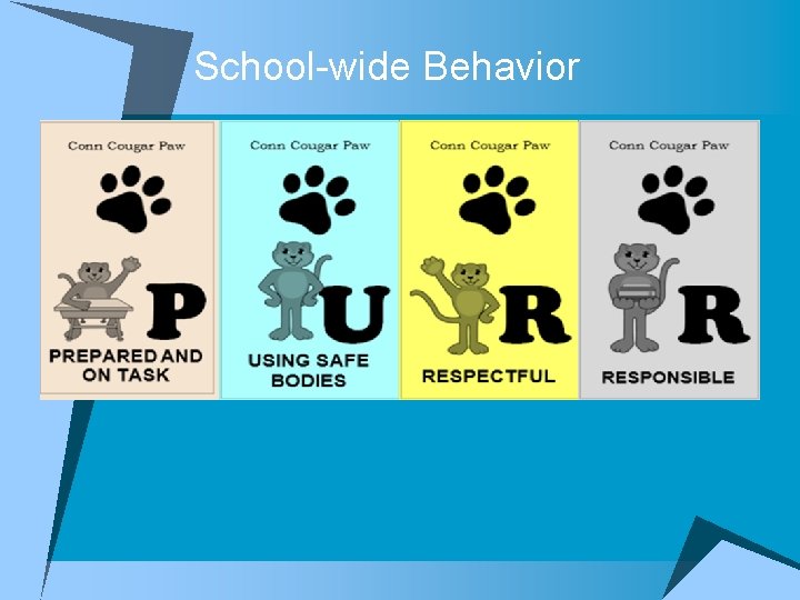 School-wide Behavior 