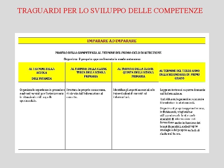 TRAGUARDI PER LO SVILUPPO DELLE COMPETENZE 